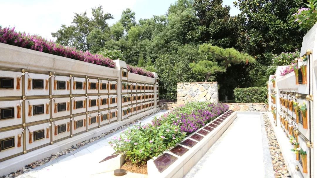 在合肥大蜀山文化陵园，与生命温柔对话